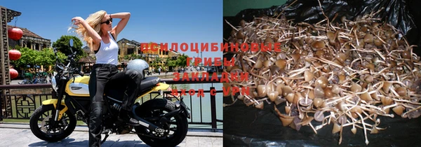 первитин Белокуриха